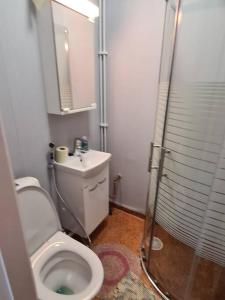 La salle de bains est pourvue d'une douche, de toilettes et d'un lavabo. dans l'établissement Mukavä mökki luonnon rauhassa maaseudulla., à Kokemäki