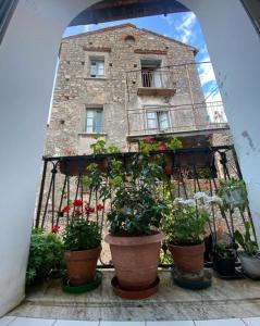 ein Gebäude mit Topfpflanzen davor in der Unterkunft RARE Soggiorno Elegante in Vibonati