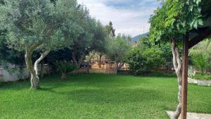 Zahrada ubytování Villa MARGIANI