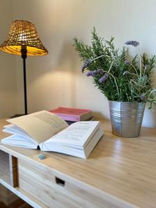 einen Tisch mit zwei Büchern, einer Lampe und einer Topfpflanze in der Unterkunft Agave Marina in Marciana Marina