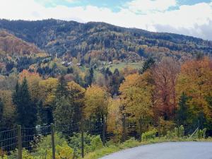 Príroda v okolí apartmánu
