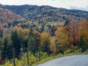 Príroda v okolí apartmánu