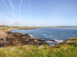 a view of a body of water with grass and flowers at Ty Bobbet in Amlwch