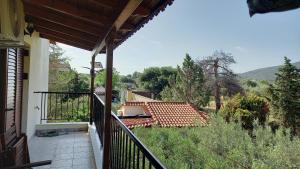 Zahrada ubytování Villa MARGIANI