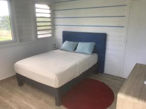 a bed with a blue headboard in a bedroom at villa domaine des palétuviers in Le Moule +100 photos