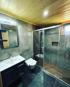 een badkamer met een douche, een toilet en een wastafel bij Cirali Hotel in Cıralı