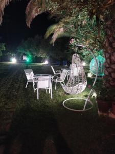 A garden outside Studios Periklis