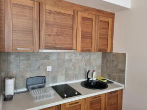 a kitchen with a sink and wooden cabinets at Apartman aparthotel Vučko in Jahorina