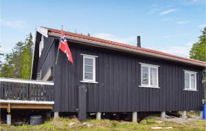 a black house with a flag on it at Awesome Home In Kongsberg With 3 Bedrooms in Kongsberg