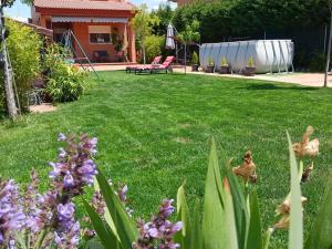 a yard with green grass and purple flowers at Chalet Las Dalias in El Espinar
