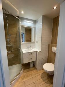 een badkamer met een toilet, een douche en een wastafel bij A może Przymorze in Gdańsk