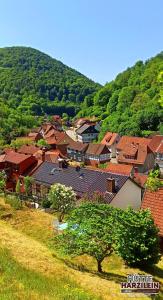 un grupo de casas en una colina con árboles en Arode Hütte Harzilein - Romantic tiny house on the edge of the forest, en Zorge