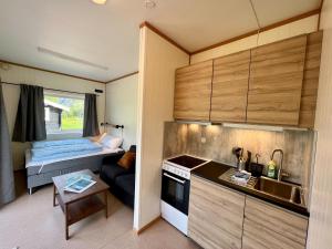オンダルスネスにあるTrollstigen Resortの小さな家の中の小さなキッチンとリビングルーム