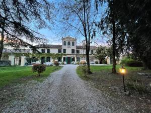 a driveway leading to a large white house at B&B Villa Gradenigo in Lancenigo