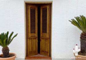eine Holztür auf einem weißen Gebäude mit zwei Pflanzen in der Unterkunft Il Cactus: una piccola oasi in paese in Favignana