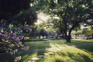 un parque con una mesa de picnic y un árbol en Yellow And Black Guest House en Meinong