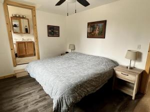 1 dormitorio con 1 cama y 1 mesa con lámpara en 2 King Bedrooms each with full bath, Amazing Views!, en Healy