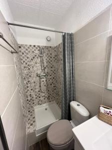 La petite salle de bains est pourvue d'une douche et de toilettes. dans l'établissement Studio au pied des pistes avec vue • wifi • balcon ..., aux Angles