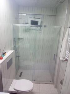 ein Bad mit einer Dusche, einem WC und einem Waschbecken in der Unterkunft BLUE PLUS HOTEL in Istanbul