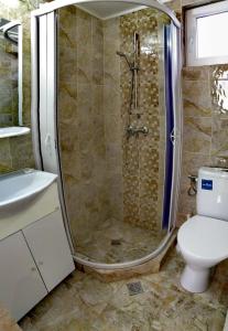 a bathroom with a shower and a toilet at Casa Georgeta in 2 Mai