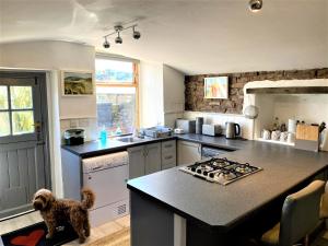 - une cuisine avec un chien debout à côté d'une cuisinière dans l'établissement Large, characterful cottage in Buxworth, High Peak, à Buxworth