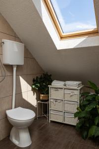 a bathroom with a toilet and a skylight at Dubrovnik Sunset Apartments in Dubrovnik