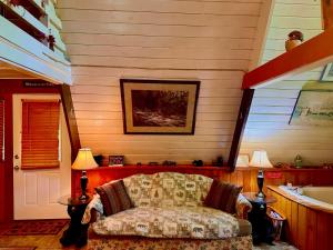 a living room with a chair and a bath tub at Buckberry Creek Chalet in Gatlinburg