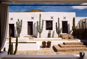 a white building with cactus in front of it at Mukti in Nieu-Bethesda