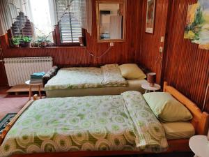 1 dormitorio con 2 camas en una habitación en Studio apartman West, en Ogulin