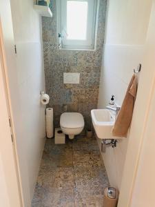 małą łazienkę z toaletą i umywalką w obiekcie Lend city house w Grazu