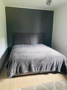 ein Bett in einem Schlafzimmer mit einer grünen Wand in der Unterkunft Lend city house in Graz