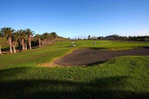 a man standing on a golf course with palm trees at Al Sole Studios residence Playa Roca in Costa Teguise