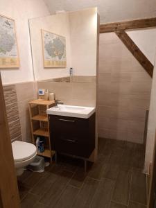 a bathroom with a sink and a toilet at Vila Hedvika in Nové Hrady