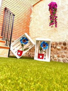dos fotos de flores están sentadas en la hierba en El Rincón de Neza (UAT01440) en Castejón