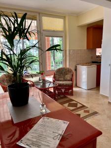 Gallery image of Casa di Bianca - közvetlen vízparti nyaraló in Siófok