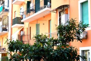 ローマにあるCasa Vacanza Home Sweet Home di Fathaの木が目の前に広がるアパートメント