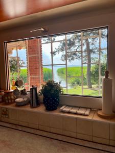 a kitchen window with a view of a tree at Casa di Bianca - közvetlen vízparti nyaraló in Siófok