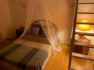 a bedroom with a bed with a mosquito net at Gîte Aghja Suttana - U San Paulu in Santa-Lucia-di-Mercurio