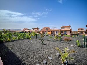 een tuin met planten voor een gebouw bij Villa Origo Mare 1236 in Majanicho in Lajares