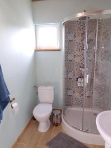 a bathroom with a shower and a toilet and a sink at Letniskowiec Kownatki in Siemienowo