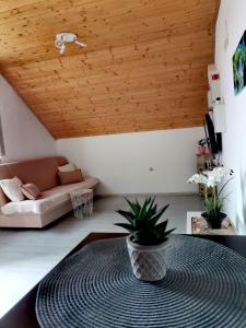 Posezení v ubytování Apartment Dolores