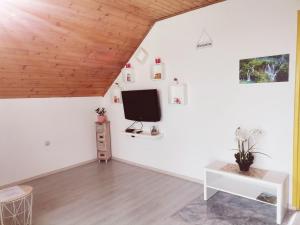 TV a/nebo společenská místnost v ubytování Apartment Dolores