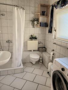 W łazience znajduje się toaleta, umywalka i pralka. w obiekcie Ljubica Apartman w mieście Pirovac