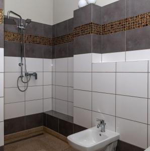 La salle de bains est pourvue d'une douche et d'un lavabo. dans l'établissement APARTAMENT Piłsudskiego13 Chrzanów, à Chrzanów