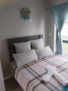 łóżko z 2 białymi poduszkami i oknem w obiekcie Cederberg Estate w Kapsztadzie