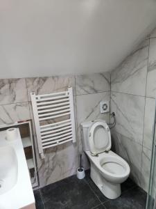 a bathroom with a toilet and a sink at Dodoši Ksenija in Cetinje