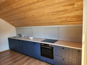 a kitchen with blue cabinets and a wooden ceiling at Dodoši Ksenija in Cetinje +4 photos