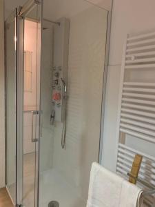 een badkamer met een douche en een glazen deur bij La Taverna dei Tre Micetti in Villafranca di Verona