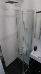 ウィーンにあるLux Apartmentのシャワー(洗面台の隣にガラスドア付)