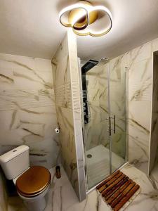 ein Bad mit einem WC und einer Glasdusche in der Unterkunft Une petite maison seulement pour 2 